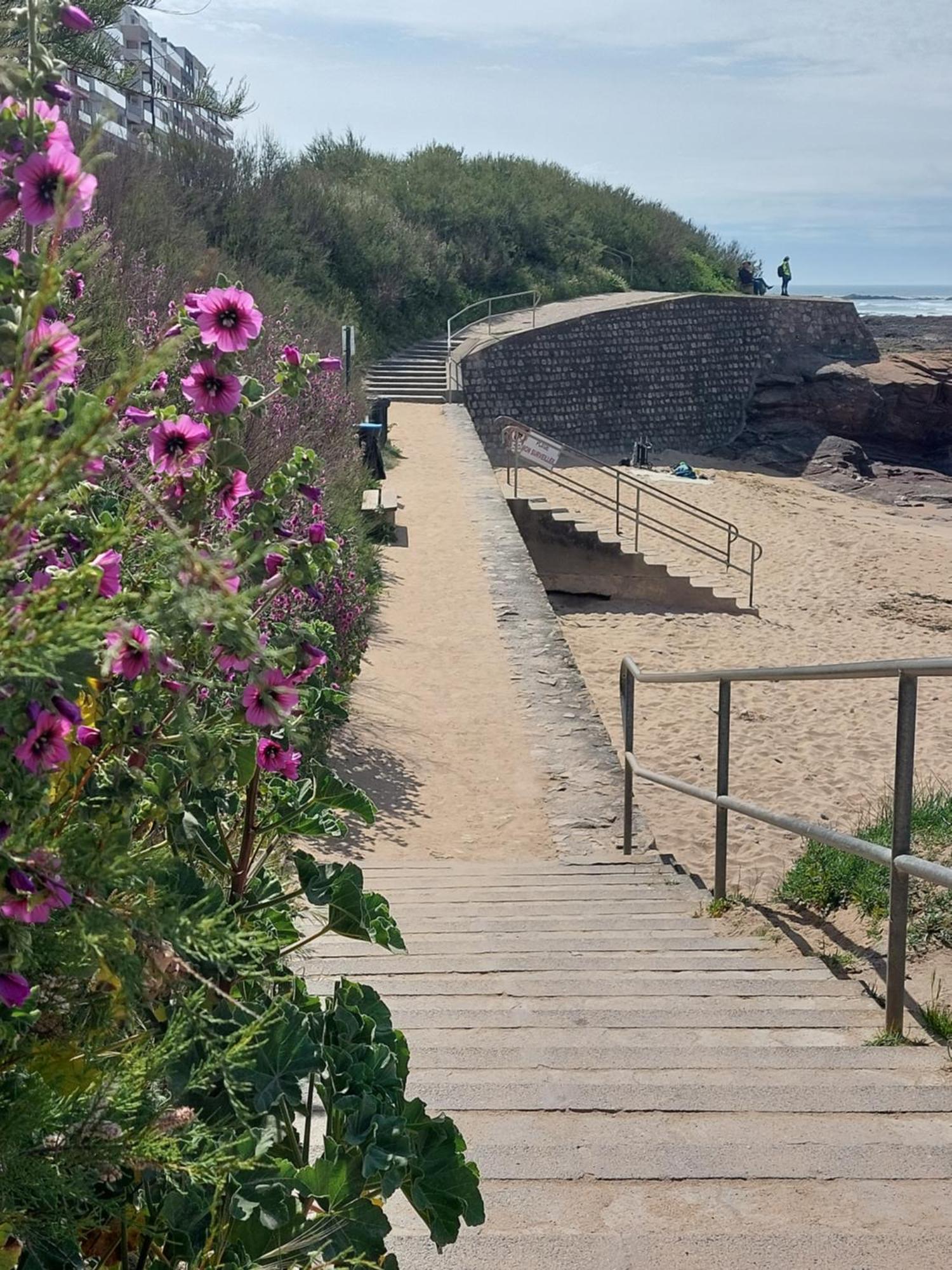 Studio La Salicorne Au Sables D'Olonne Les Sables-dʼOlonne Exterior foto